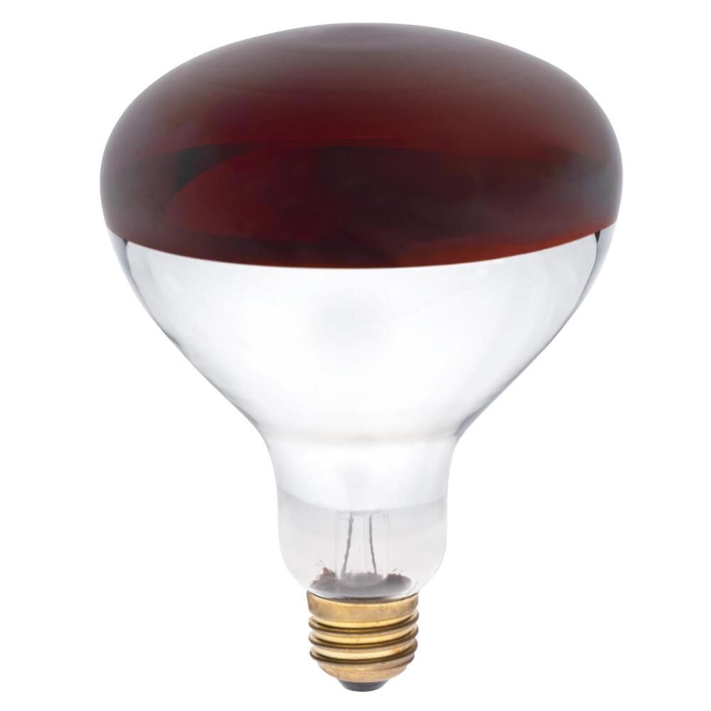 250 Watt Red Splatter Resistant Heat Bulb 2 Pack