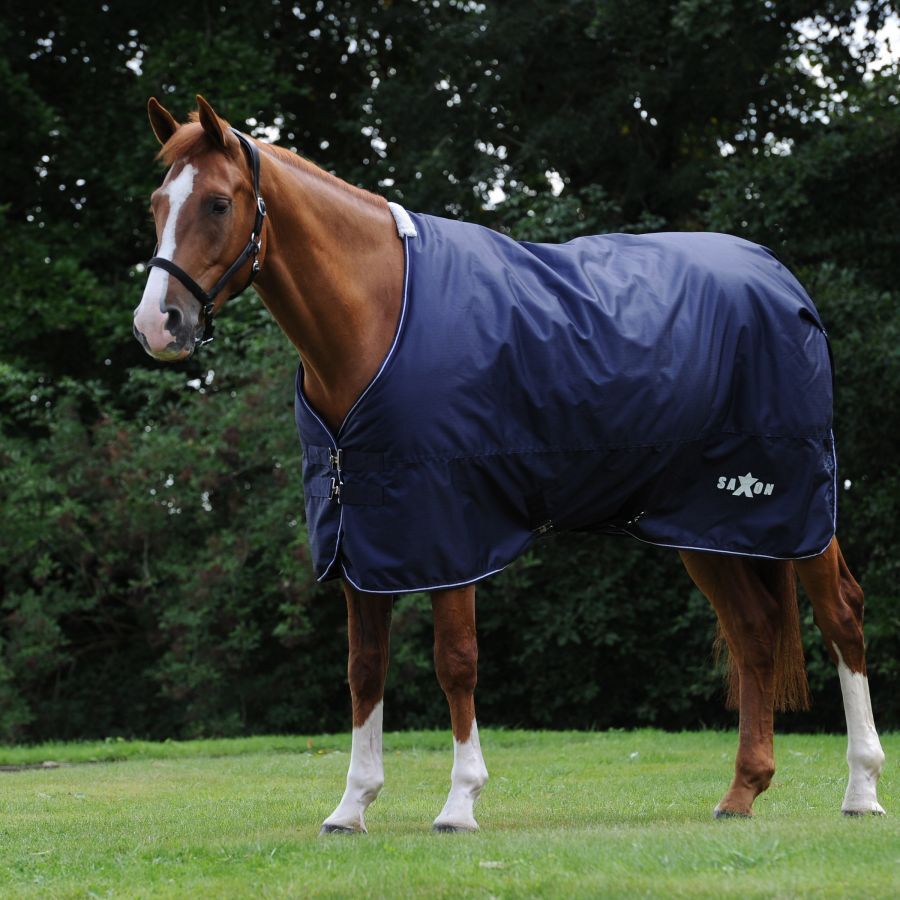 Saxon 600D Standard Neck Medium Turnout Blanket, 75-In