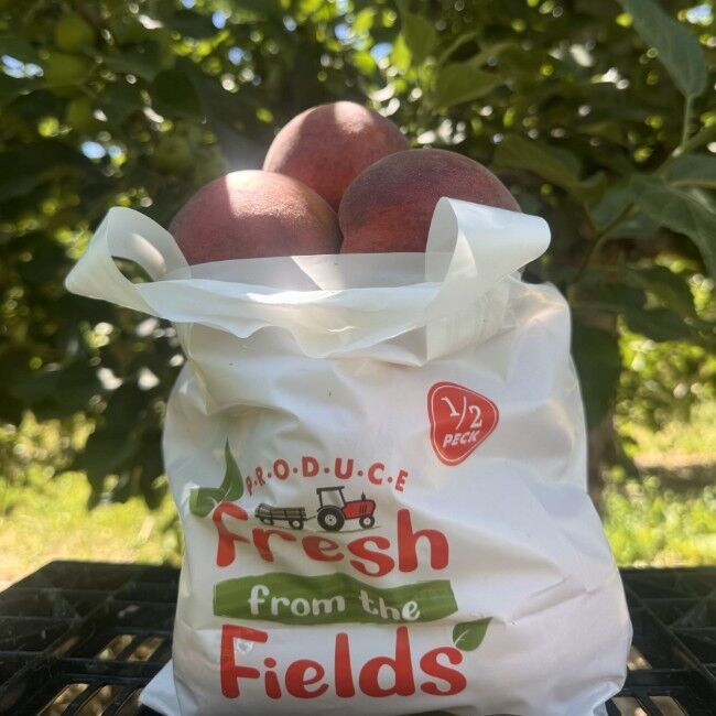 Rileys' Orchard Yellow Freestone Peach Variety, 5-lb Bag