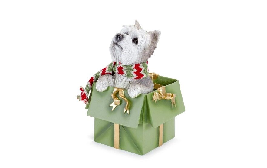 Dog in Package, 2-Pk