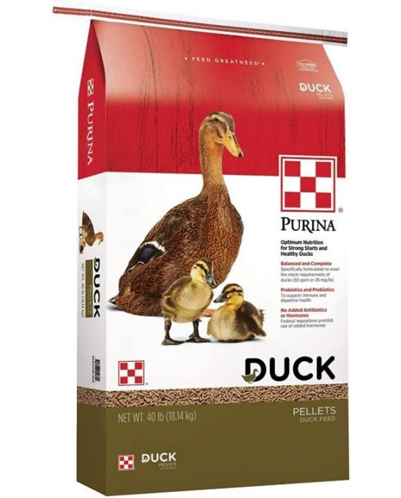 Purina Duck Feed Pellets, 40-Lb