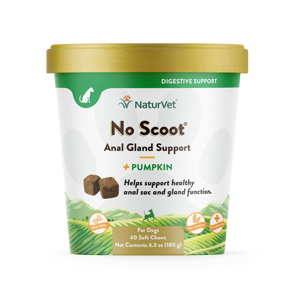 NaturVet 60 Count No Scoot Soft Chew - Pumpkin