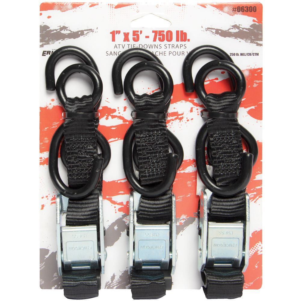 Erickson Motorcycle/ATV Cam Buckle Tie-Downs, 1-In x 5-Ft, 750-Lb, 3-Pk