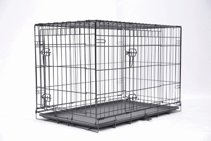 Main St. Pet 36-In 2-Door Folding Pet Crate 