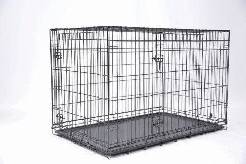 Main St. Pet 48-In 2 Door Pet Crate