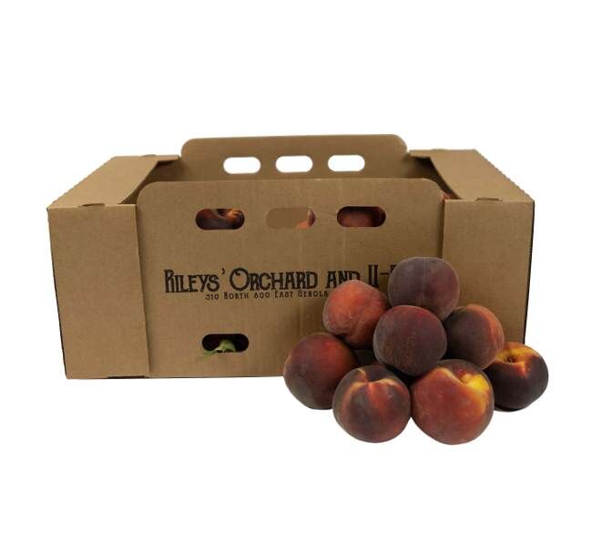 Rileys' Orchard Yellow Freestone Peach Variety, 20-lb Box