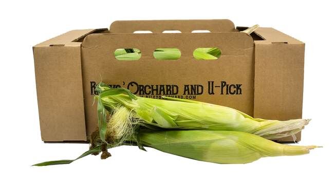 Rileys' Orchard Montauk Bi-Color Sweet Corn, 1-Dozen Ears per Box