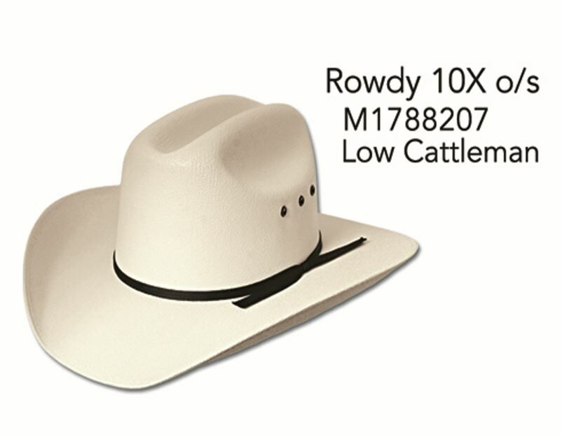Master Hatters Rowdy in Beige