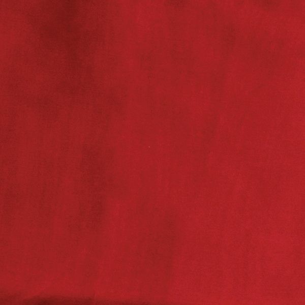 Wyoming Traders Solid Silk Scarf