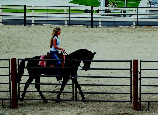 Powder River Powder Mountain Gate, 16-Ft