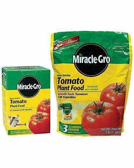 Miracle-Gro Tomato Food 18-18-21 - 1.5 lb