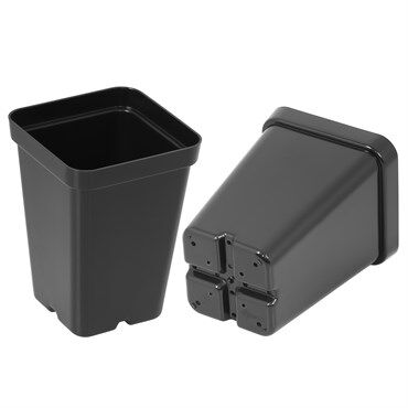 Sunpack Square Pot Black, 2.5-In