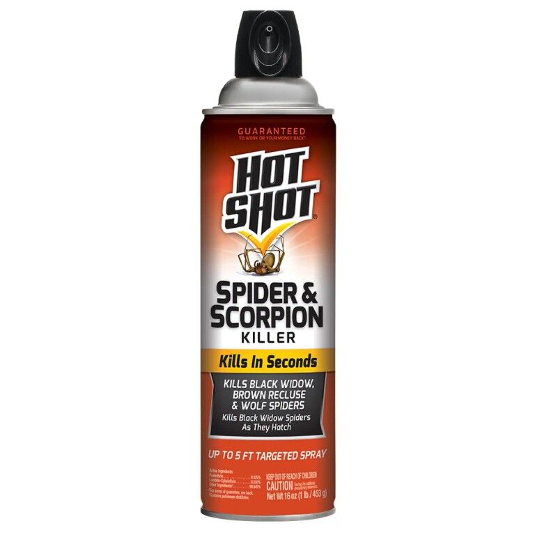 Hot Shot Spider & Scorpion Killer, 16-Oz