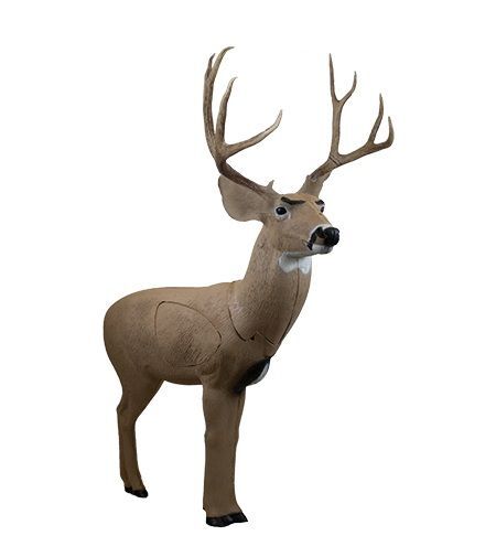 Rinehart Targets Signature Mule Deer