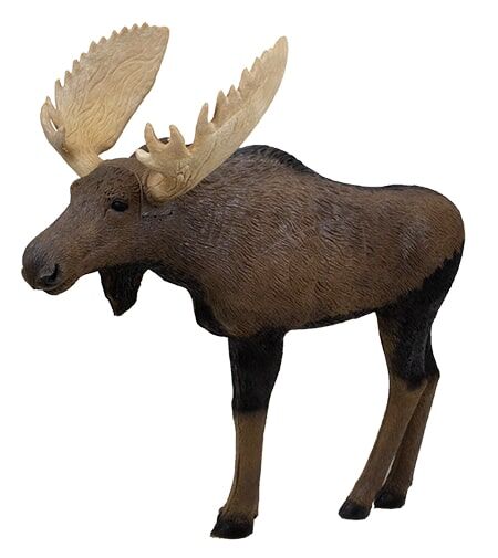 Rinehart Targets Signature Moose 1/3 Scale