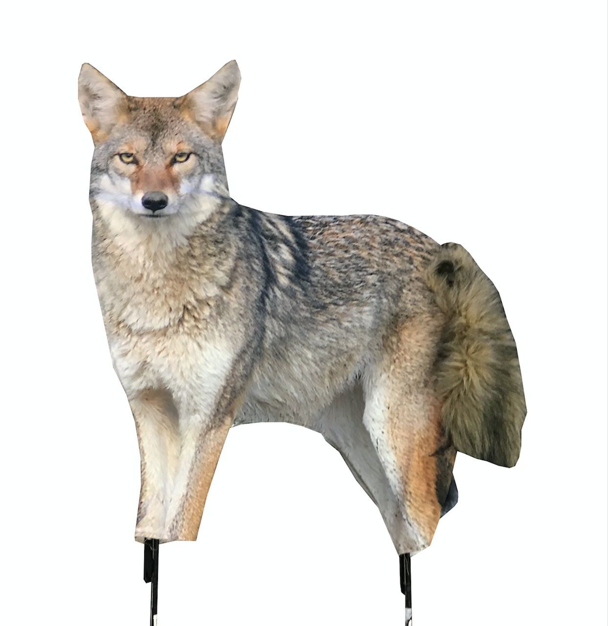 Montana Decoy Song Dog Coyote Decoy