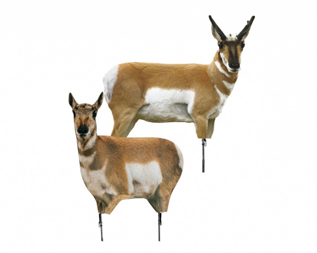 Montana Decoy Antelope Combo Buck & Doe Decoys