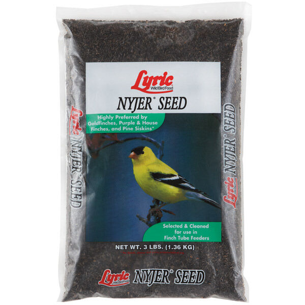 Lyric Wild Bird Food Nyjer Seed, 3-Lb