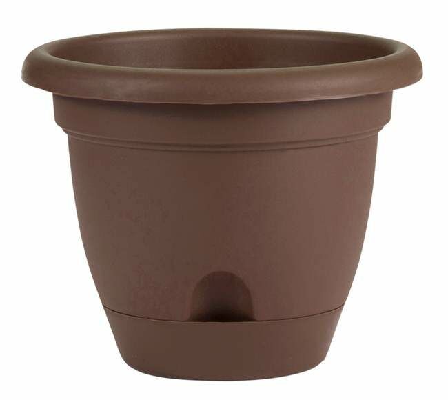 Bloem 6 in Lucca Self Watering Planter With Saucer - Chocolate Brown