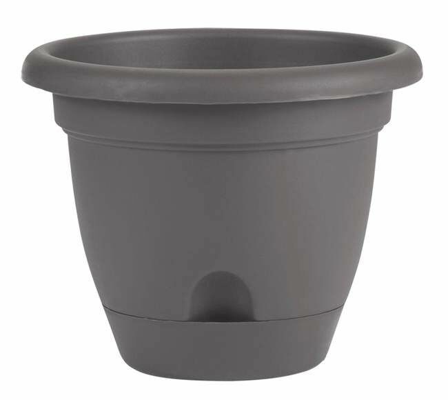 Bloem 6 in Lucca Self Watering Planter With Saucer - Charcoal Gray