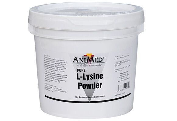 AniMed Pure L-Lysine Powder, 5-Lb
