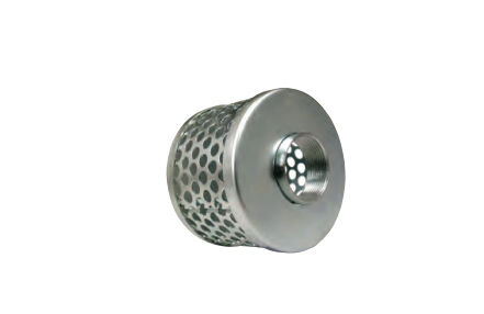 Green Leaf Round Hole Steel Basket Suction Strainer, 2-In Female NPT Steel
