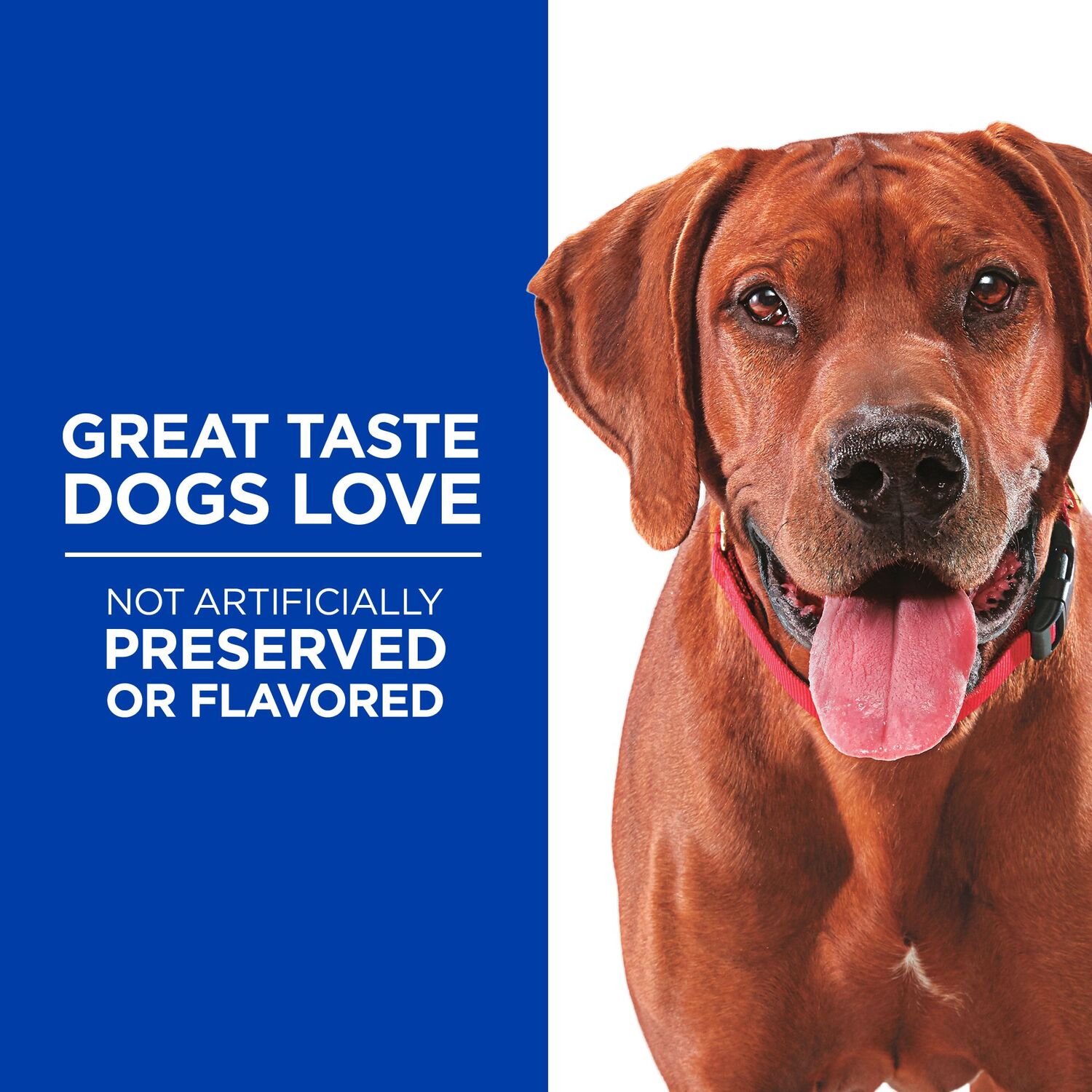 Hill's® Grain Free Soft-Baked Naturals with Duck & Pumpkin Dog Treats, 8-Oz