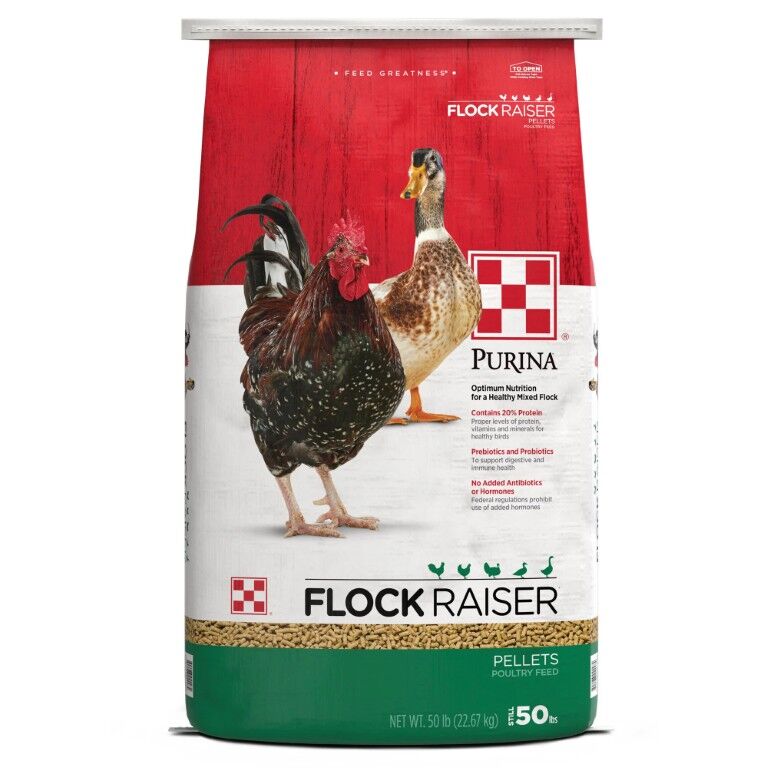 Purina Flock Raiser Pellets, 50-Lb