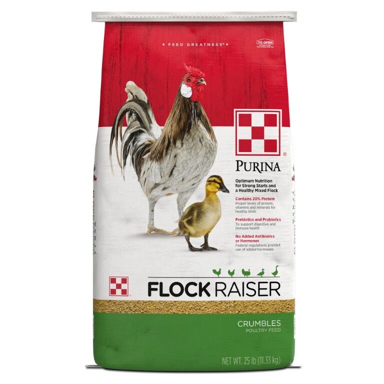 Purina Flock Raiser Crumbles, 50-Lb