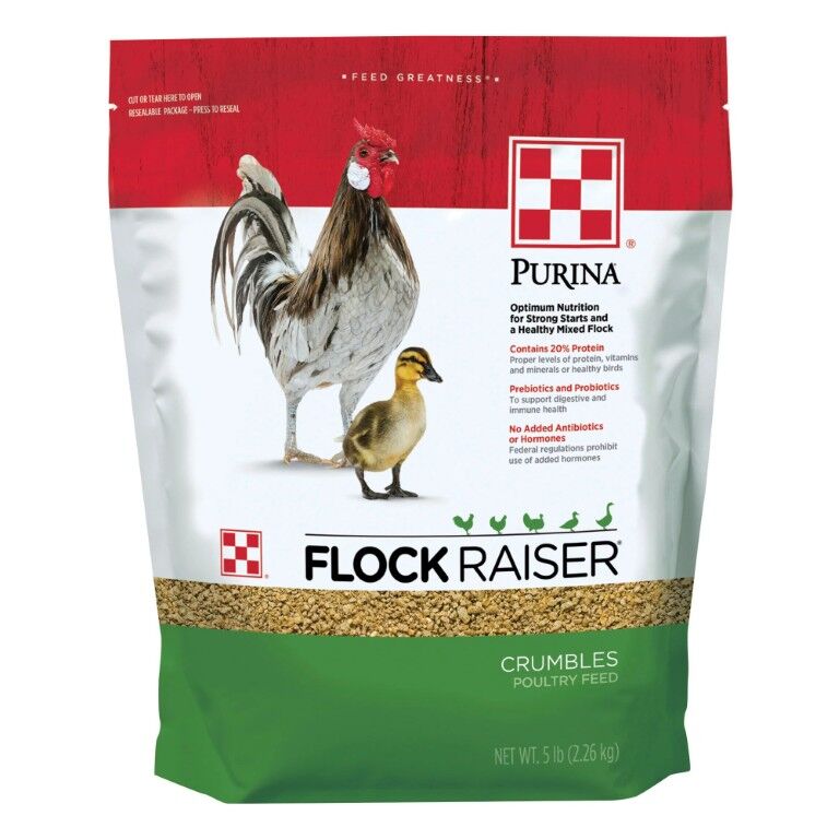 Purina Flock Raiser Crumbles, 5-Lb