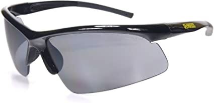 DeWALT Radius Protective Safety Glasses, Smoke