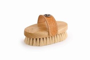 Desert Equestrian Legends White Tampico Small Western-Style Grooming Brush