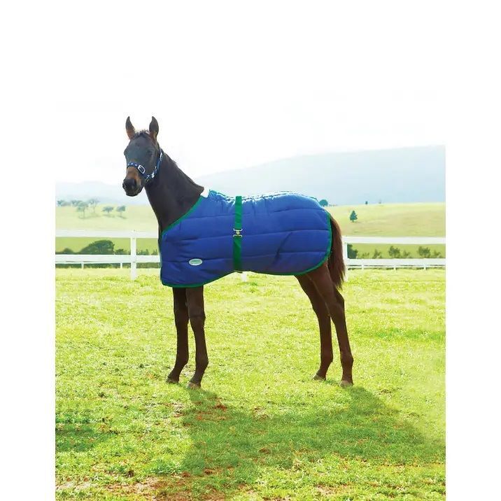 WeatherBeeta 420D Foal Standard Neck Medium Navy/Hunter, 42-57-In