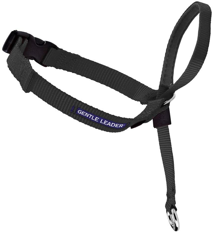 Gentle Leader® Headcollar in Black, Large
