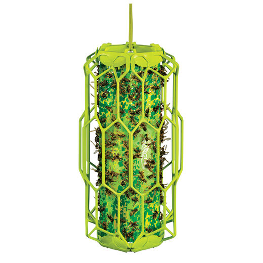 Disposable Wasp TrapStik®