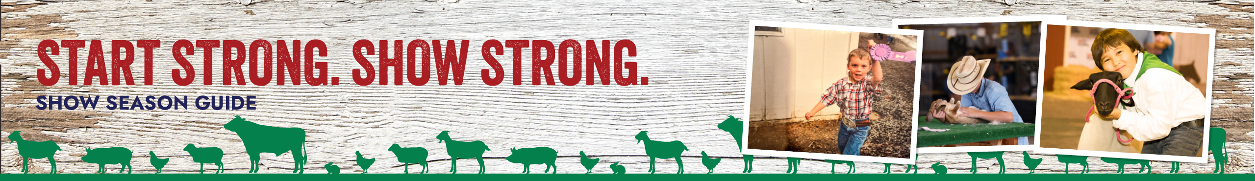 Start Strong. Show Strong. SHOW SEASON GUIDE