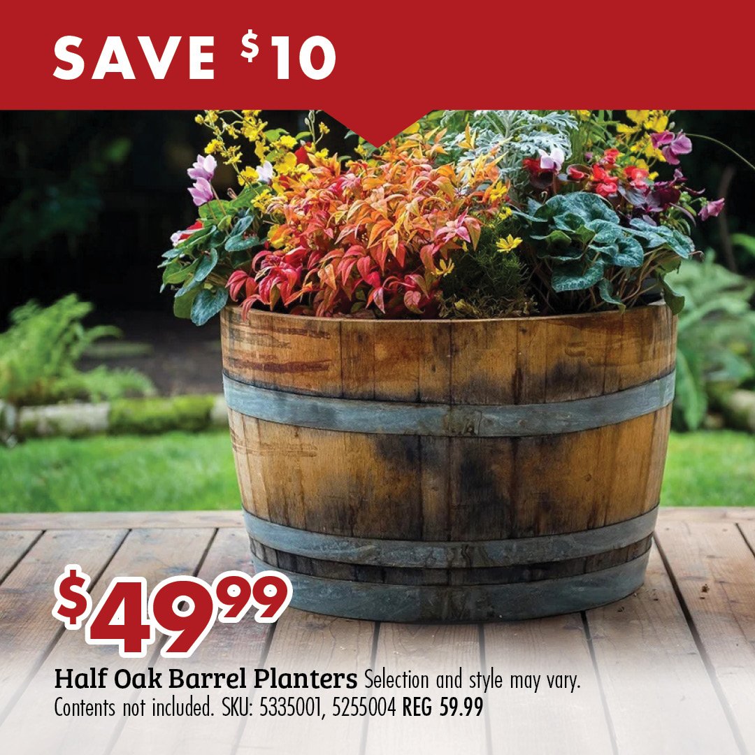 SAVE $10 $49.99 Half Oak Barrel Planters Selection and style may vary. Contents not included. SKU: 52225004, 5255004 REG 59.99