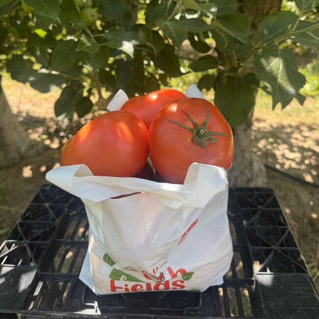 Rileys' Orchard Beefsteak Tomatoes Variety Box, 5-lb Bag