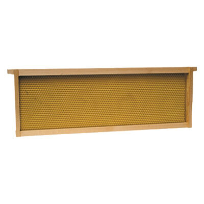 Medium Bee Frame, 5-Pk