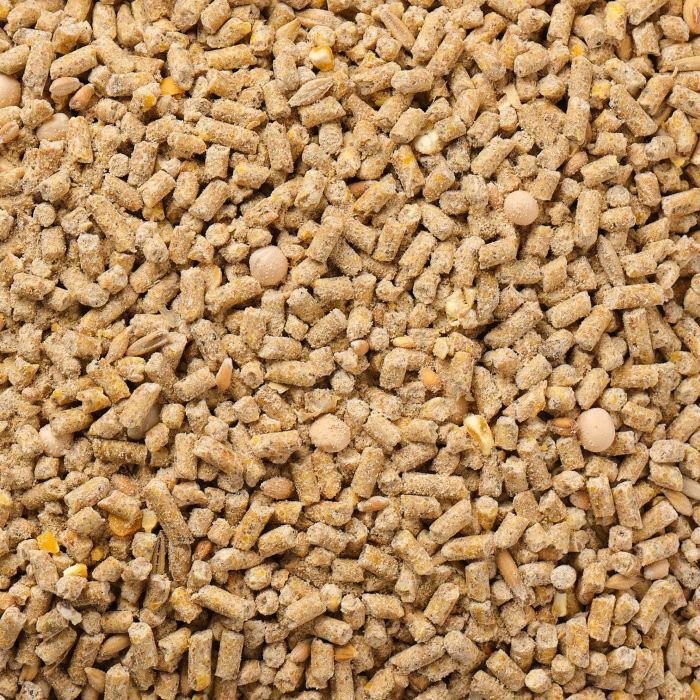 Hen Up Organic All Flock Feed, 25-Lb