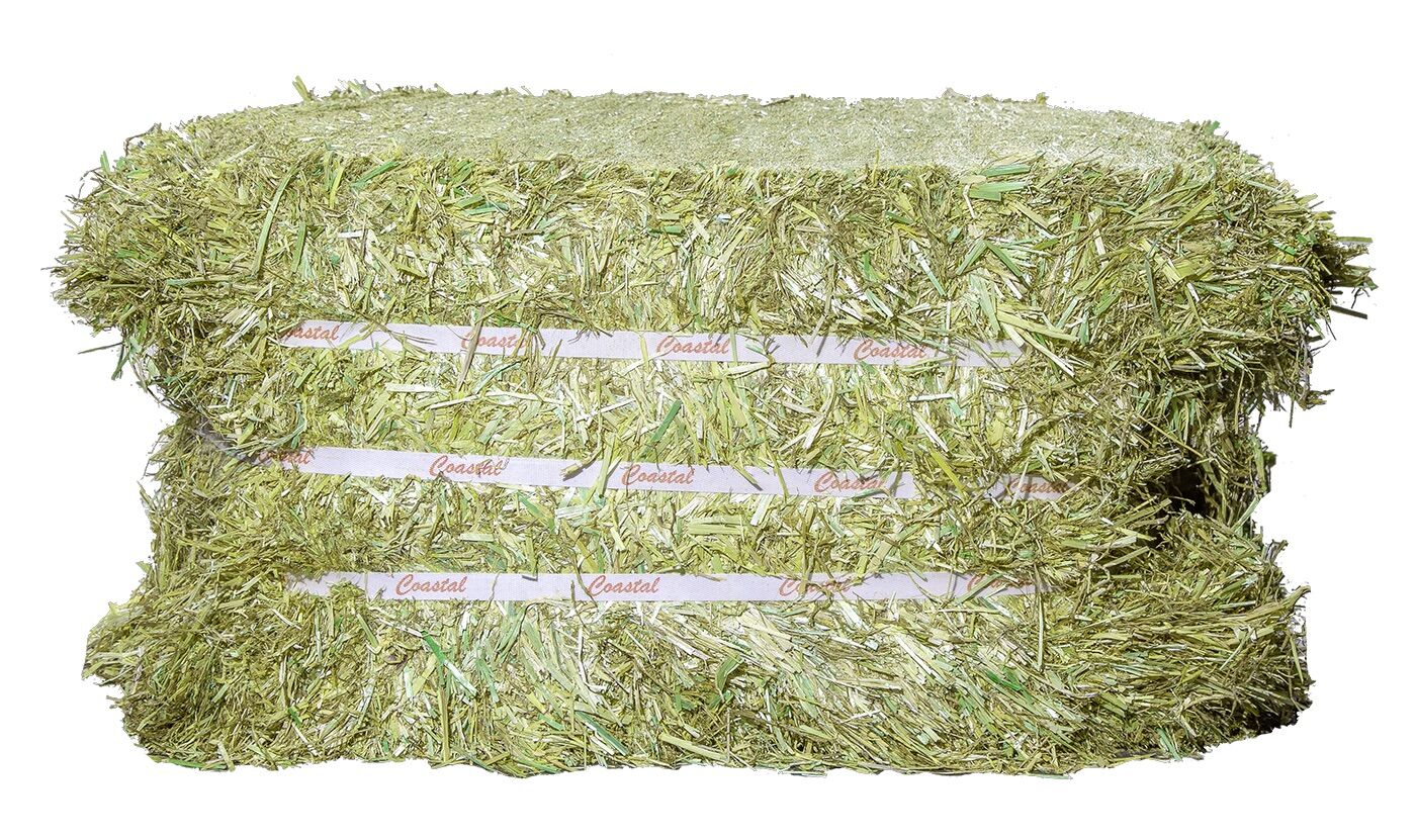 Coastal Compressed Straw Hay Bale, 55-Lb