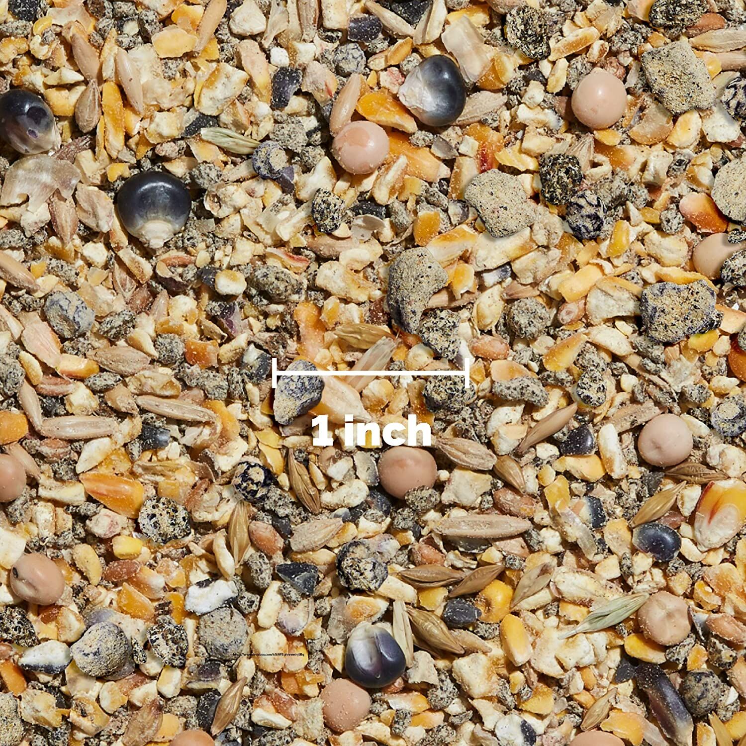 Hen Up Organic Layer Mash, 25-Lb