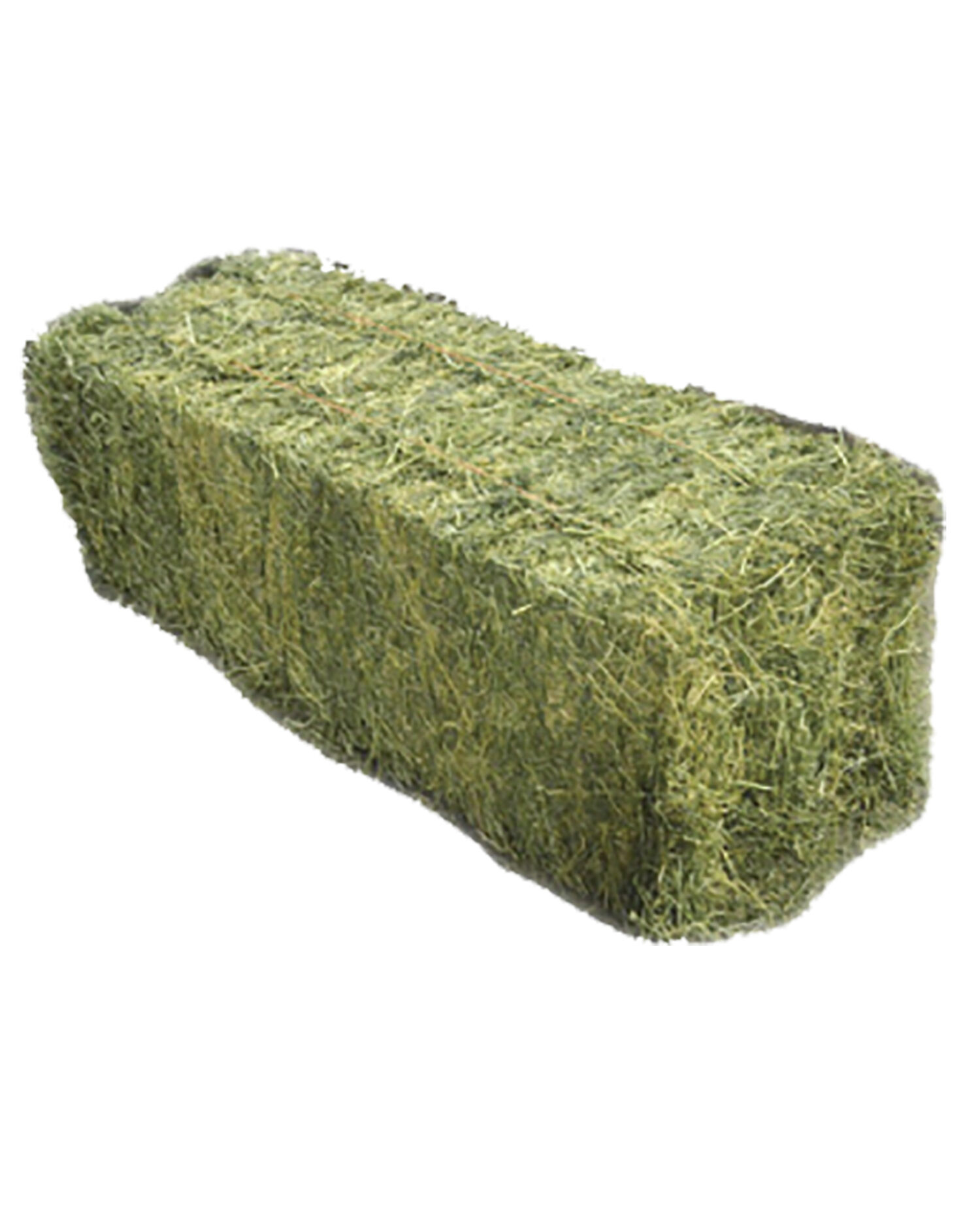 Local 2-Tie Alfalfa Hay Bale, 85-Lb