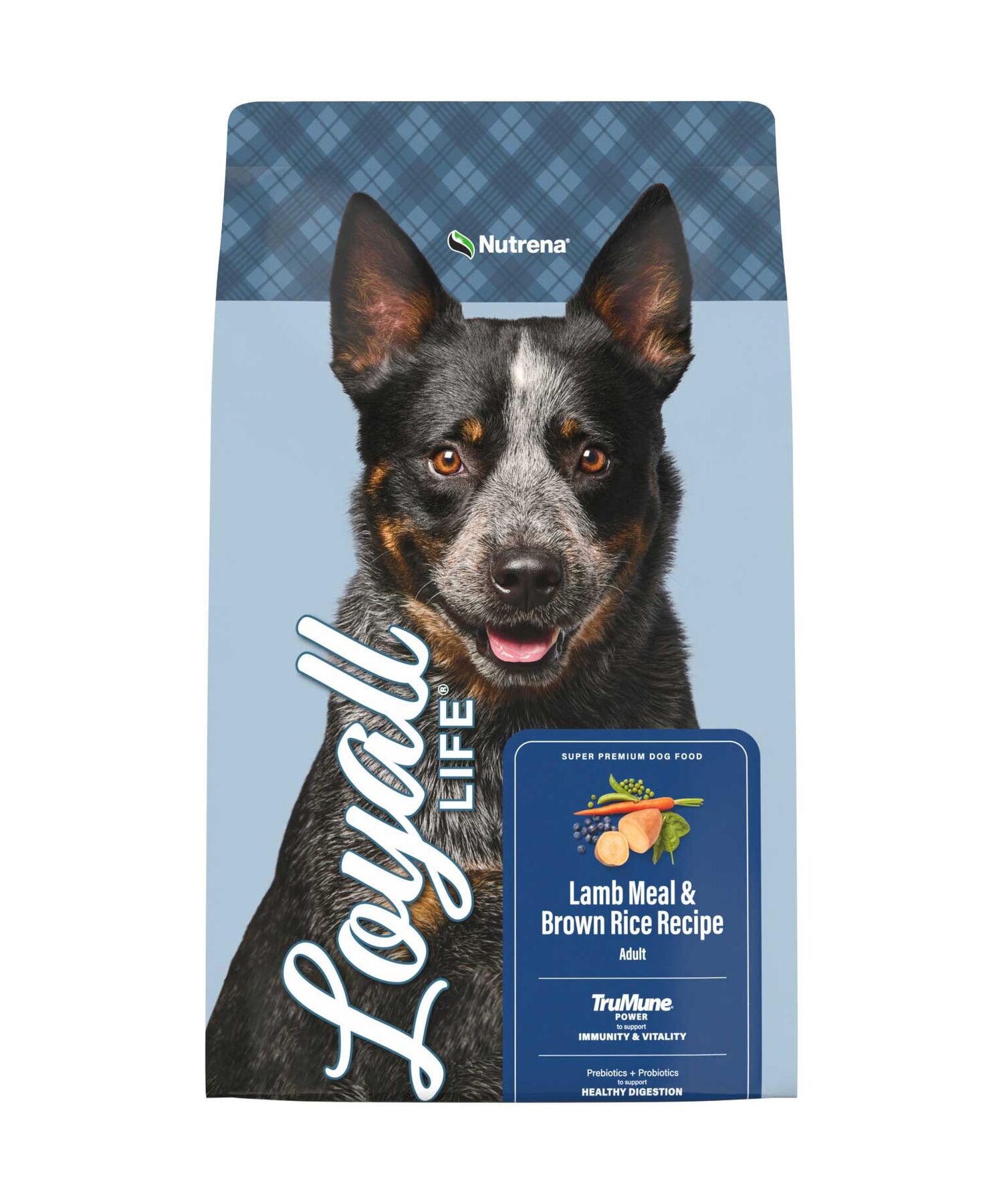 Nutrena Loyall Life Lamb Meal & Brown Rice Recipe Dog Food, 6-Lb