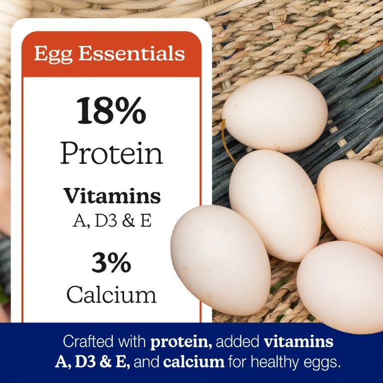 Nutrena NatureWise Harvest Blend 18% Textured Layer Feed, 40-Lb