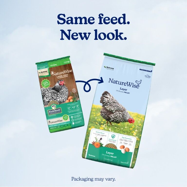 Nutrena NatureWise Layer 17% Protein Pellet, 40-Lb