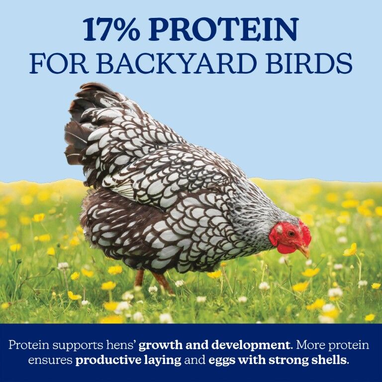 Nutrena NatureWise Layer 17% Protein Crumble, 40-Lb