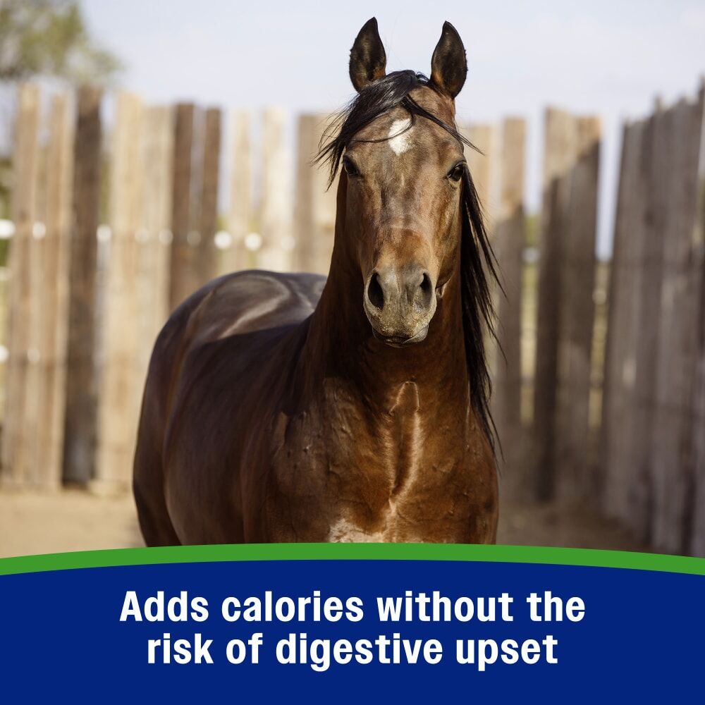 Farnam Weight Builder Equine Supplement, 7.5-Lb