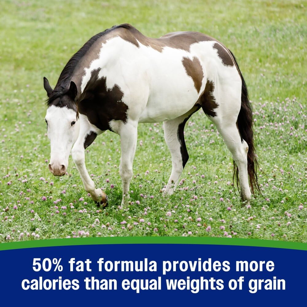 Farnam Weight Builder Equine Supplement, 7.5-Lb