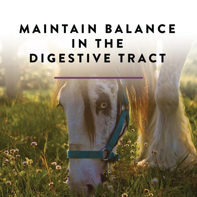 Manna Pro Opti-Zyme Digestive Supplement, 3-Lb